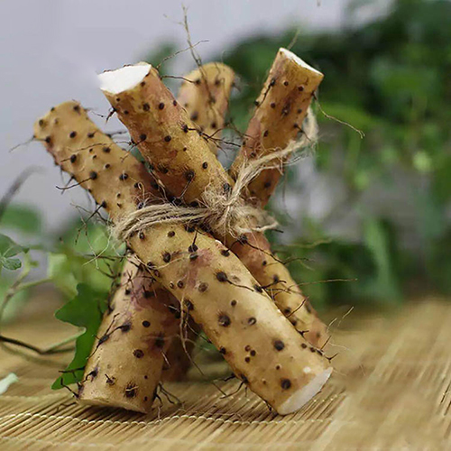 特色食材行业 · 案例