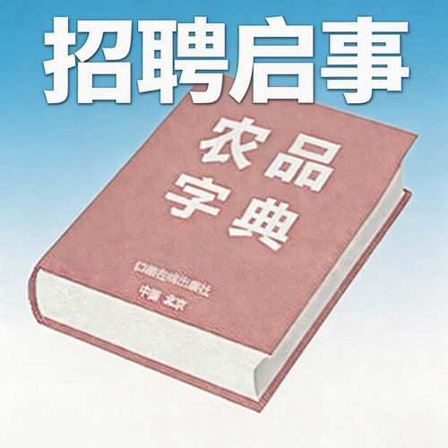 平台地区事业合伙人 / 自由职业音乐人